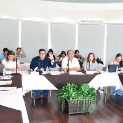 Aprueban diversos proyectos de dictamen de reformas a la ASE, a la CEDH y de Participación Ciudadana.