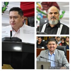 Reforma Congreso Ley de Participación Ciudadana en materia de revocación de mandato