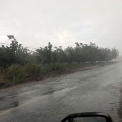 Mantiene Protección Civil alerta ante pronóstico de lluvias en la entidad.