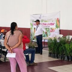 Entrega Estado árboles y cajas de semillas de hortaliza a personas adultas mayores.
