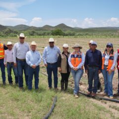 Desarrollan programa piloto para el cultivo de granado en Satevó.