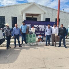 Trabaja Desarrollo Rural para prevenir la plaga de chapulín en cultivos chihuahuenses.