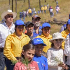 Impulsan reforestación y el desarrollo sustentable en beneficio de 10 mil habitantes de la Sierra Tarahumara