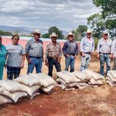 Entregan más de 200 apoyos agrícolas a familias de Moris.