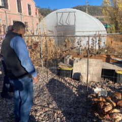 Fortalece DIF Estatal autonomía alimentaria en comunidades indígenas con entrega de aves de corral a Centros de Nutrición y Albergue Materno.