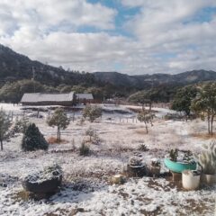 Prevé CEPC temperaturas frías para las próximas horas en Chihuahua.
