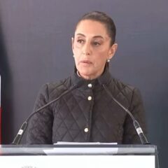 Presidenta Claudia Sheinbaum reafirma que sin maíz no hay país: en febrero trabajará junto al Congreso para legislar la prohibición del maíz transgénico en México