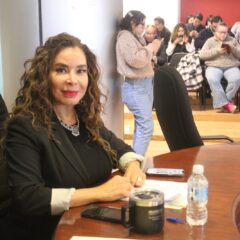 No deber haber preventa sin permisos de construcción en vivienda vertical; Congreso obligarlo a regularlo: María Antonieta Perez.