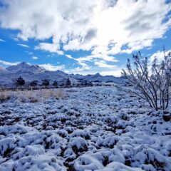 Invita Carla Rivas a extremar precauciones ante fuerte nevada.
