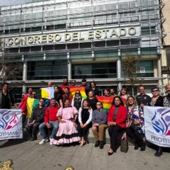 Van organizaciones LGBTTTIQ+ por el matrimonio igualitario.