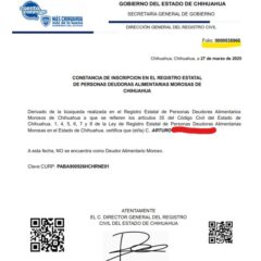 El Registro Civil del Estado ha expedido 36 mil 955 constancias apócrifas de no adeudo alimentario: Diputada Pérez Reyes.