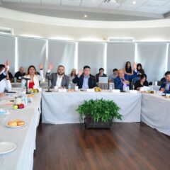 Aprueban acuerdo para realizar Consulta Estrecha y de Colaboración Activa de Personas con Discapacidad 2025.