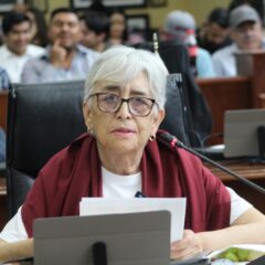 Busca diputada Herminia Gómez certeza y amparo de leyes en Chihuahua, a personas dentro Trastorno del Espectro Autista.