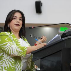 Impulsa diputada Magdalena Rentería campaña permanente para proteger a menores ante uso de redes sociales.
