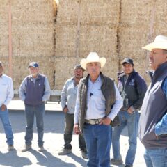 Entrega Diputado Arturo Zubía 300 pacas de rastrojo a productores ganaderos en Jiménez.