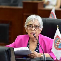 Suma Chihuahua 3 años discriminando y revictimizando a menores en condición del Especto Autista: diputada Herminia Gómez.
