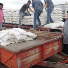 Beneficia Estado a 7 mil ganaderos con cerca de 6 mil toneladas de maíz molido/rolado