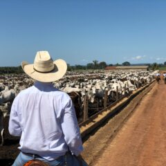 Abre SDR convocatoria para apoyos en capacitación a ganaderos de Chihuahua