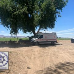 Localizan a un hombre sin vida por arma de fuego en el campo menonita 7B