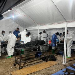 Analizados 323 cuerpos, informa la Dirección de Servicios Periciales y Ciencias Forenses