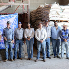 Entrega Desarrollo Rural más de 166.5 toneladas de concentrado lechero en Cuauhtémoc.