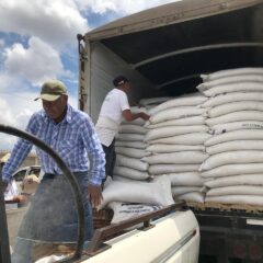 Entrega Gobierno del Estado 14 toneladas de semilla de avena a productores de la zona sur.