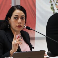 Lamentable que Congreso se niegue a legislar Violencia Vicaria: América Aguilar.