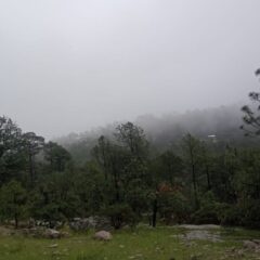 Pronostica CEPC vientos de hasta 45 km/h y lluvias en la Sierra Tarahumara este fin de semana.