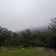 Prevé Protección Civil continuidad de lluvias en el territorio estatal.