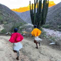 Suman más de 1,500 los atletas inscritos en el Ultra Trail Mont Blanc que se correrá en la Sierra Tarahumara.
