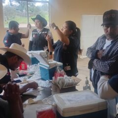 Continúa Gobierno del Estado con jornadas de vacunación en comunidades de la Sierra Tarahumara.
