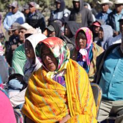 Suma SPyCI más de 57 toneladas de alimento distribuidas en localidades de la Sierra Tarahumara.