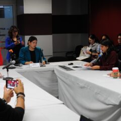 Seleccionan a las 33 participantes del Parlamento de Mujeres 2025.
