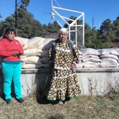 Distribuye Gobierno del Estado 7.2 toneladas de apoyo alimentario en Balleza.