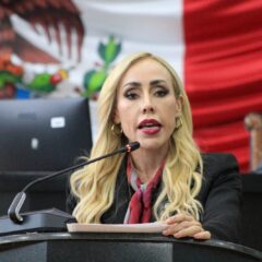 Brenda Ríos exige cuentas al Alcalde: PAN frena exhorto para esclarecer el sobrecosto de casi $200 millones en puentes financiados con crédito de $570 millones.