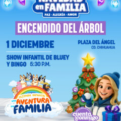 Invita Gobierno del Estado al tradicional encendido del Árbol de Navidad.