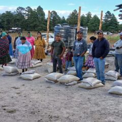 Entrega Gobierno del Estado 4 toneladas de maíz y frijol a 200 familias de Bocoyna.