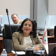 Secretario de Gobierno debe priorizar problemáticas sociales y no campañas de difamación: diputada Rentería.