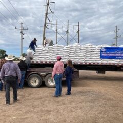 Convoca SDR a organizaciones productoras para acceder a apoyos de insumos pecuarios.