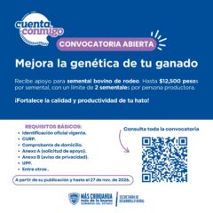 Abre convocatoria para apoyo en la adquisición de sementales bovinos de rodeo.