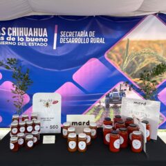 Abre SDR convocatoria de apoyo para misiones comerciales del sector agroindustrial.