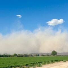 Emite CEPC alerta preventiva por fuertes vientos, tolvaneras y altas temperaturas este fin de semana.