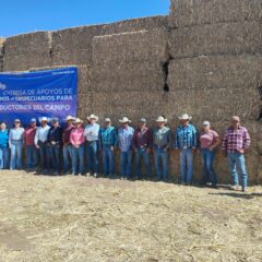Fortalece Estado al campo chihuahuense; entrega más de 140 mil pacas de rastrojo a 15 mil productores