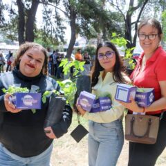 Invita SDR a entrega de árboles y semillas por el Día Nacional del Árbol.