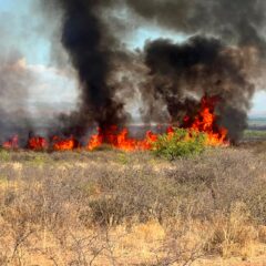 Apoya Protección Civil en liquidación de incendio de pastizal en Rancho El Diamante