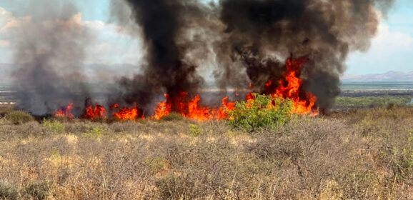 Apoya Protección Civil en liquidación de incendio de pastizal en Rancho El Diamante