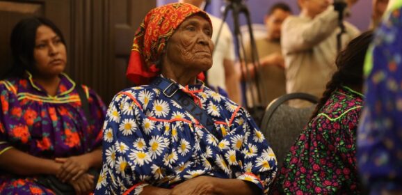 Entrega Estado incentivos para fortalecer las actividades productivas de miembros de los pueblos indígenas.