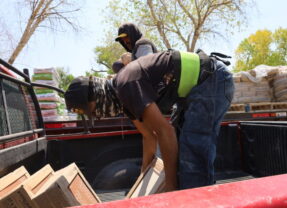 Entrega Coesvi material de construcción a 21 familias de Julimes para mejorar sus viviendas.