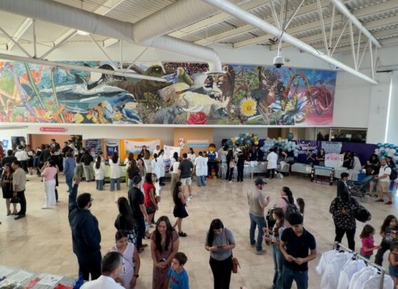 Impulsa DIF Estatal divulgación científica desde Museo Semilla.