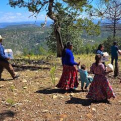 Lleva Estado NutriChihuahua a comunidades de difícil acceso en la Sierra Tarahumara.